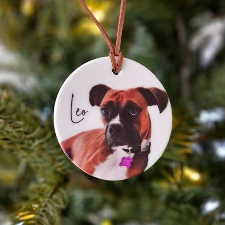 Custom Dog Portrait Ornament - Personalized Pet Christmas Keepsake - SCC Signs